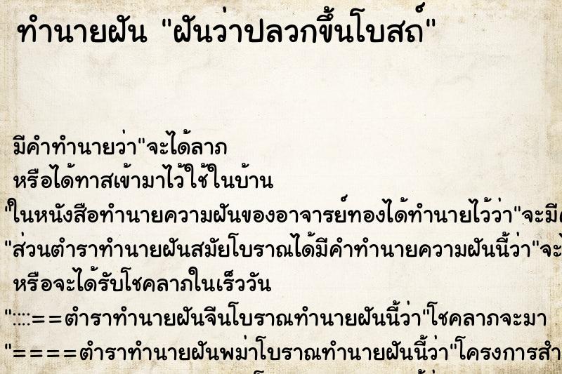 ทำนายฝัน ฝันว่าปลวกขึ้นโบสถ์ ตำราโบราณ แม่นที่สุดในโลก