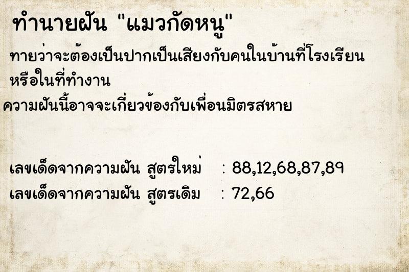 ทำนายฝัน แมวกัดหนู ทำนายฝัน แมวกัดหนู