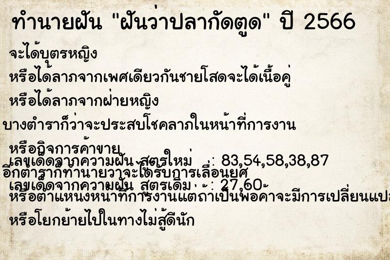 ทำนายฝันฝันว่าปลากัดตูด ทำนายฝันทำนายฝันฝันว่าปลากัดตูด