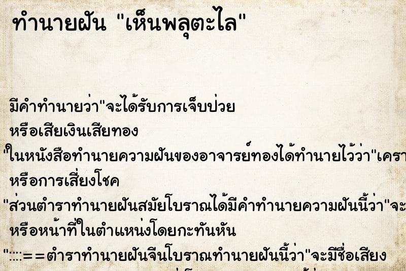 ทำนายฝัน เห็นพลุตะไล ตำราโบราณ แม่นที่สุดในโลก