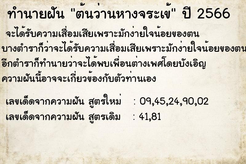 ทำนายฝัน ต้นว่านหางจระเข้ ตำราโบราณ แม่นที่สุดในโลก