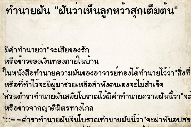 ทำนายฝัน ฝันว่าเห็นลูกหว้าสุกเต็มต้น ทำนายฝัน ฝันว่าเห็นลูกหว้าสุกเต็มต้น