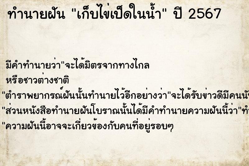 ทำนายฝันเก็บไข่เป็ดในน้ำ ทำนายฝันทำนายฝันเก็บไข่เป็ดในน้ำ