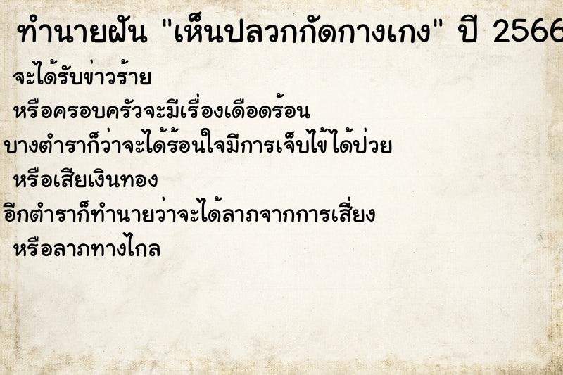 ทำนายฝันเห็นปลวกกัดกางเกง ทำนายฝันทำนายฝันเห็นปลวกกัดกางเกง