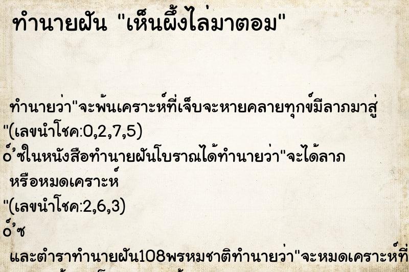 ทำนายฝัน เห็นผึ้งไล่มาตอม