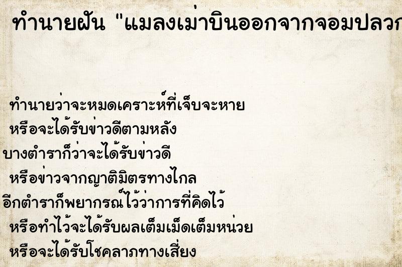 ทำนายฝันทำนายฝันแมลงเม่าบินออกจากจอมปลวกเยอะแยะไปหมด