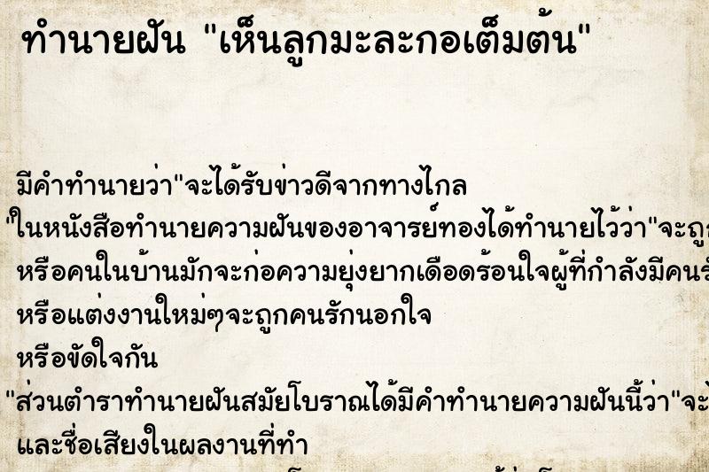 ทำนายฝัน เห็นลูกมะละกอเต็มต้น ทำนายฝัน เห็นลูกมะละกอเต็มต้น