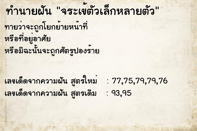 ทำนายฝัน จระเข้ตัวเล็กหลายตัว ทำนายฝัน จระเข้ตัวเล็กหลายตัว
