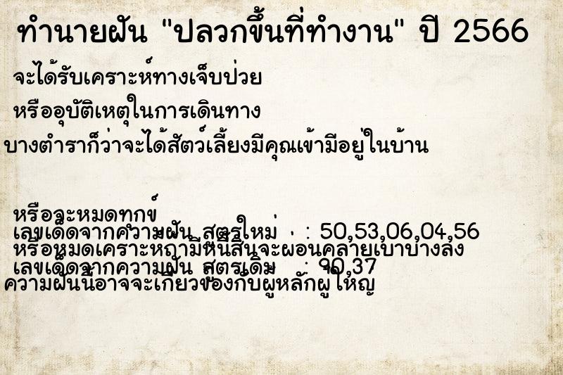 ทำนายฝันปลวกขึ้นที่ทำงาน ทำนายฝันทำนายฝันปลวกขึ้นที่ทำงาน