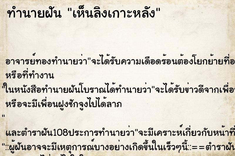 ทำนายฝันเห็นลิงเกาะหลัง ทำนายฝันทำนายฝันเห็นลิงเกาะหลัง