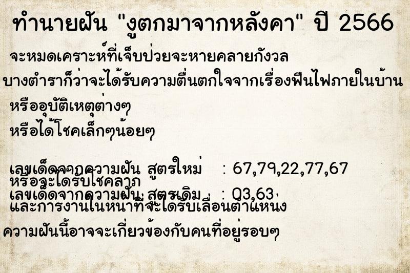 ทำนายฝันงูตกมาจากหลังคา ทำนายฝันทำนายฝันงูตกมาจากหลังคา