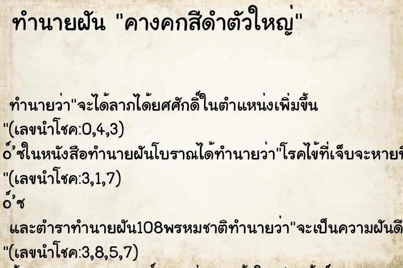 ทำนายฝันคางคกสีดำตัวใหญ่ ทำนายฝันทำนายฝันคางคกสีดำตัวใหญ่
