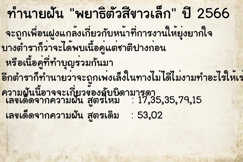ทำนายฝัน พยาธิตัวสีขาวเล็ก ทำนายฝัน พยาธิตัวสีขาวเล็ก