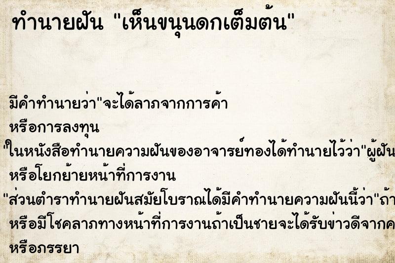 ทำนายฝันเห็นขนุนดกเต็มต้น ทำนายฝันทำนายฝันเห็นขนุนดกเต็มต้น