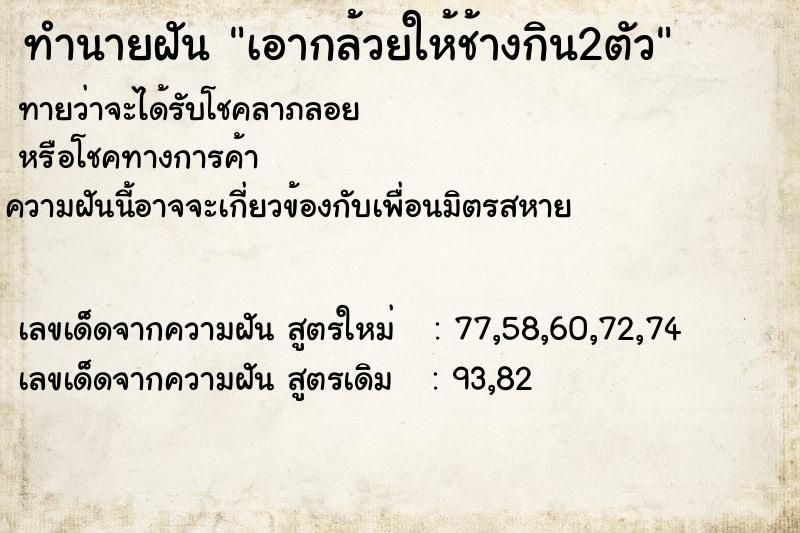 ทำนายฝันเอากล้วยให้ช้างกิน2ตัว ทำนายฝันทำนายฝันเอากล้วยให้ช้างกิน2ตัว