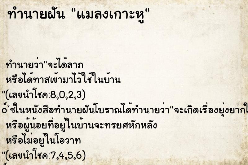 ทำนายฝันทำนายฝันแมลงเกาะหู