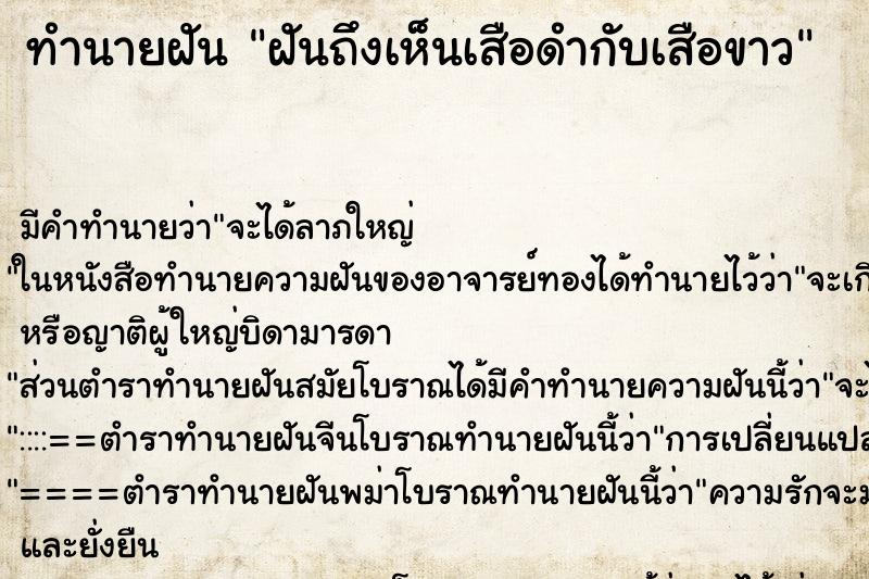 ทำนายฝันฝันถึงเห็นเสือดำกับเสือขาว ทำนายฝันทำนายฝันฝันถึงเห็นเสือดำกับเสือขาว
