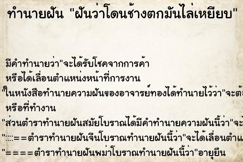 ทำนายฝันทำนายฝันฝันว่าโดนช้างตกมันไล่เหยียบ
