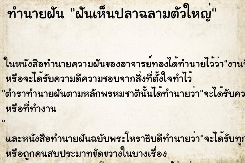ทำนายฝันทำนายฝันฝันเห็นปลาฉลามตัวใหญ่