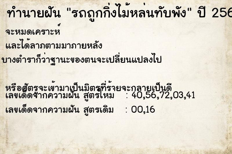 ทำนายฝันรถถูกกิ่งไม้หล่นทับพัง ทำนายฝันทำนายฝันรถถูกกิ่งไม้หล่นทับพัง