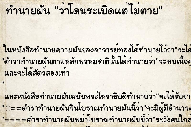 ทำนายฝัน ว่าโดนระเบิดแต่ไม่ตาย ทำนายฝัน ว่าโดนระเบิดแต่ไม่ตาย