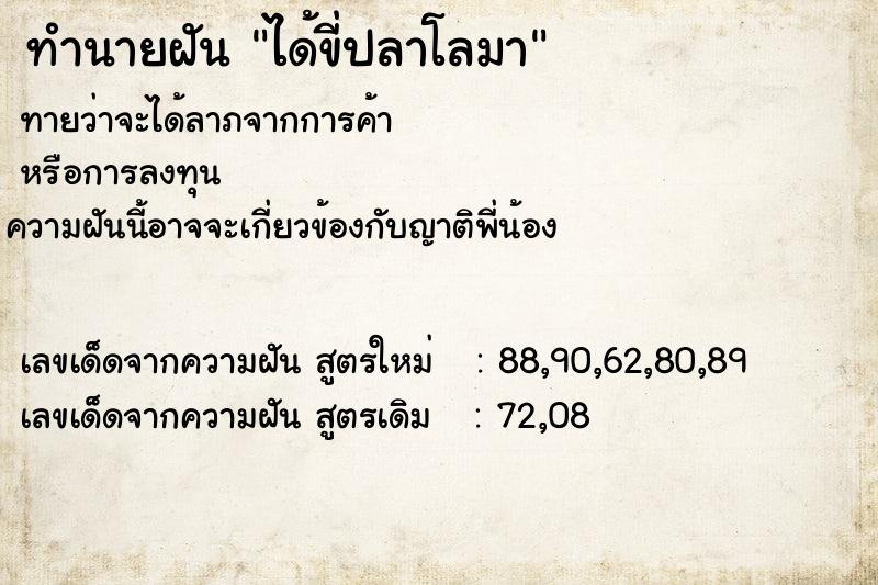 ทำนายฝัน ได้ขี่ปลาโลมา
