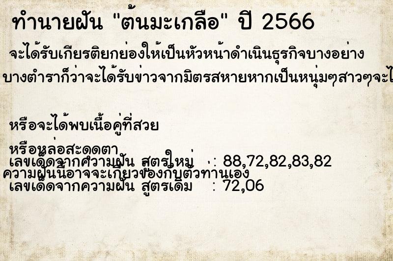 ทำนายฝัน ต้นมะเกลือ