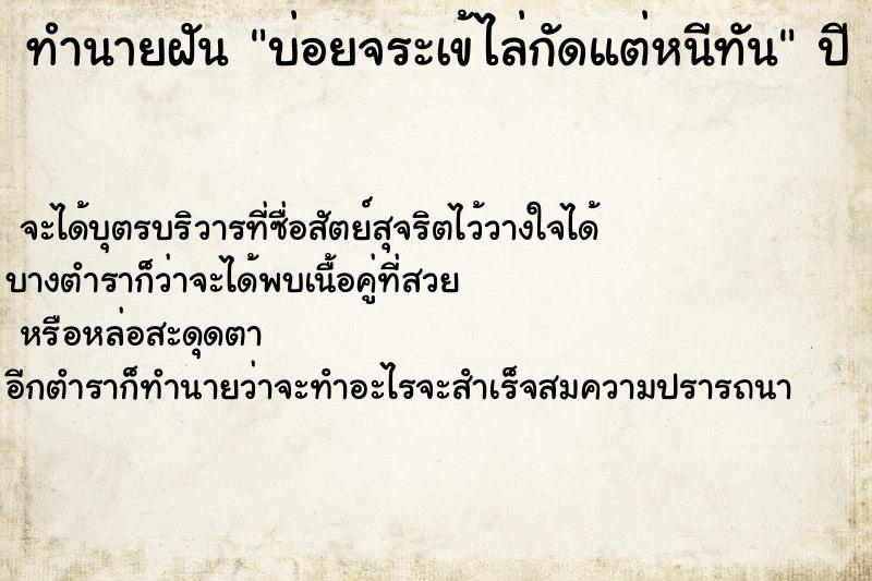 ทำนายฝัน บ่อยจระเข้ไล่กัดแต่หนีทัน ทำนายฝัน บ่อยจระเข้ไล่กัดแต่หนีทัน