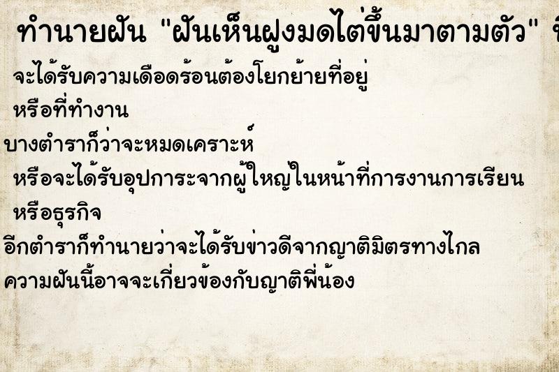 ทำนายฝันฝันเห็นฝูงมดไต่ขึ้นมาตามตัว ทำนายฝันทำนายฝันฝันเห็นฝูงมดไต่ขึ้นมาตามตัว
