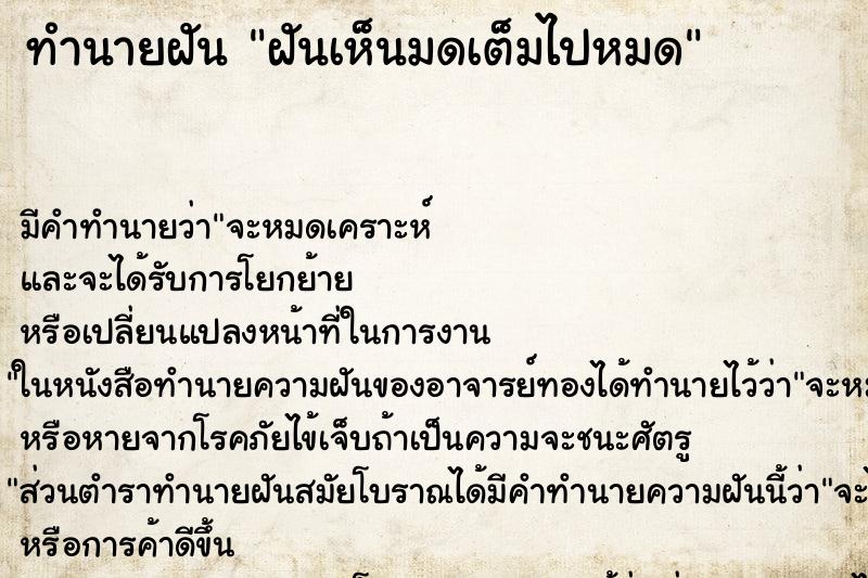 ทำนายฝัน ฝันเห็นมดเต็มไปหมด ทำนายฝัน ฝันเห็นมดเต็มไปหมด