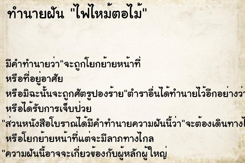 ทำนายฝันไฟไหม้ตอไม้ ทำนายฝันทำนายฝันไฟไหม้ตอไม้
