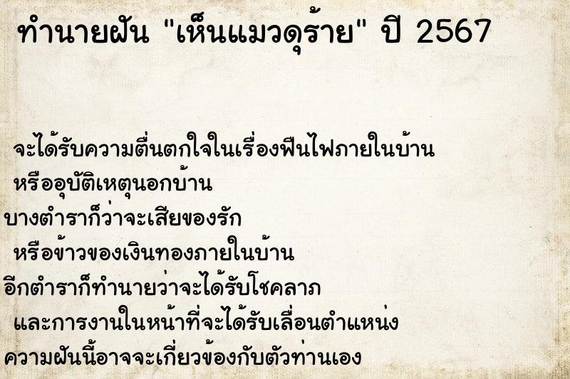 ทำนายฝันทำนายฝันเห็นแมวดุร้าย