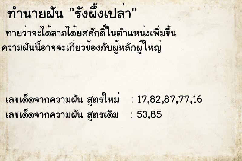ทำนายฝัน รังผึ้งเปล่า ทำนายฝัน รังผึ้งเปล่า