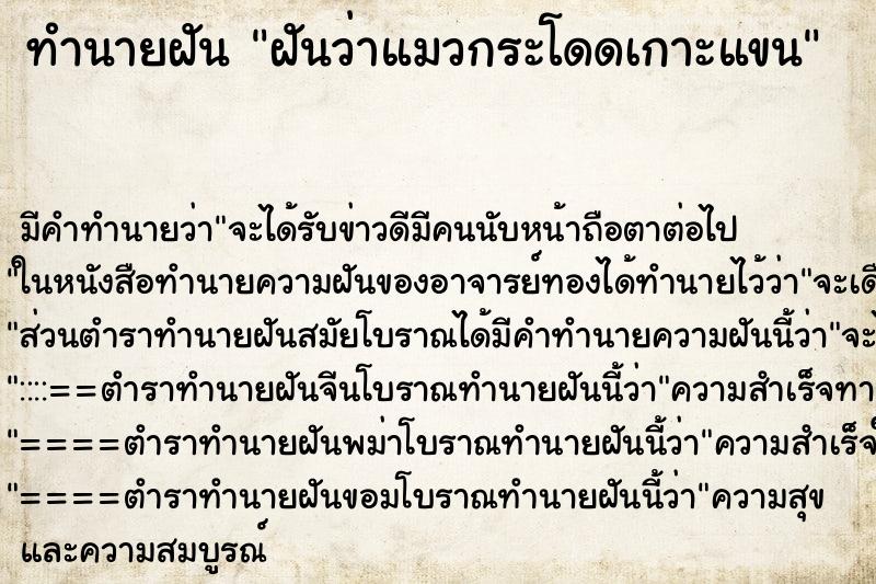 ทำนายฝันฝันว่าแมวกระโดดเกาะแขน ทำนายฝันทำนายฝันฝันว่าแมวกระโดดเกาะแขน