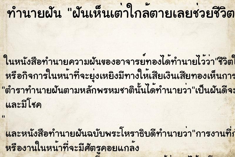 ทำนายฝันทำนายฝันฝันเห็นเต่าใกล้ตายเลยช่วยชีวิตเต่าไว้