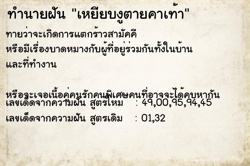 ทำนายฝัน เหยียบงูตายคาเท้า ทำนายฝัน เหยียบงูตายคาเท้า