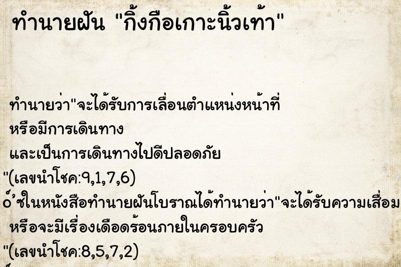 ทำนายฝันทำนายฝันกิ้งกือเกาะนิ้วเท้า