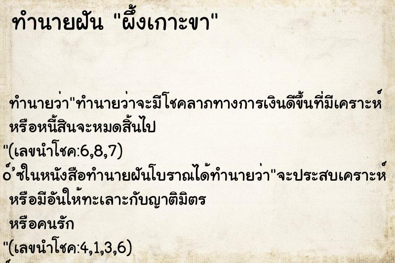 ทำนายฝันผึ้งเกาะขา ทำนายฝันทำนายฝันผึ้งเกาะขา