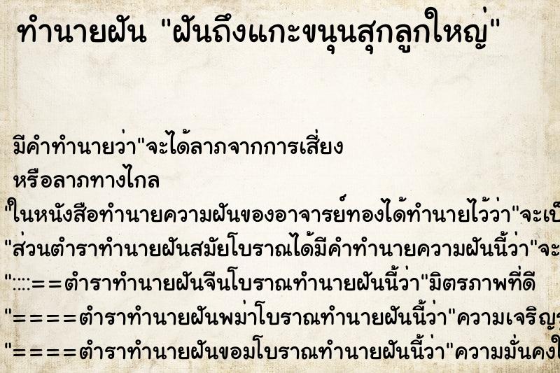 ทำนายฝันทำนายฝันฝันถึงแกะขนุนสุกลูกใหญ่