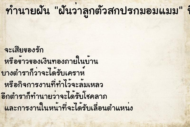 ทำนายฝันฝันว่าลูกตัวสกปรกมอมแมม ทำนายฝันทำนายฝันฝันว่าลูกตัวสกปรกมอมแมม