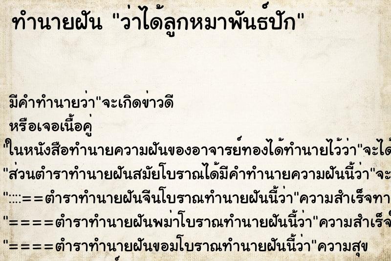 ทำนายฝันว่าได้ลูกหมาพันธ์ปัก ทำนายฝันทำนายฝันว่าได้ลูกหมาพันธ์ปัก