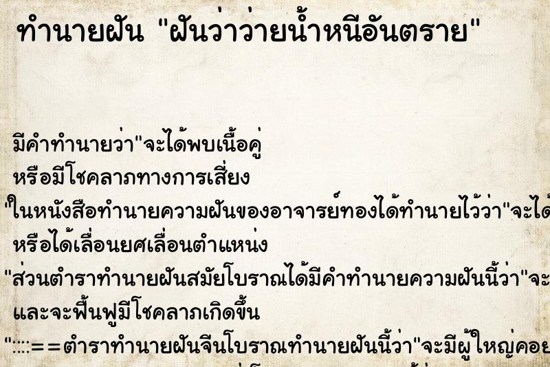 ทำนายฝัน ฝันว่าว่ายน้ำหนีอันตราย ทำนายฝัน ฝันว่าว่ายน้ำหนีอันตราย