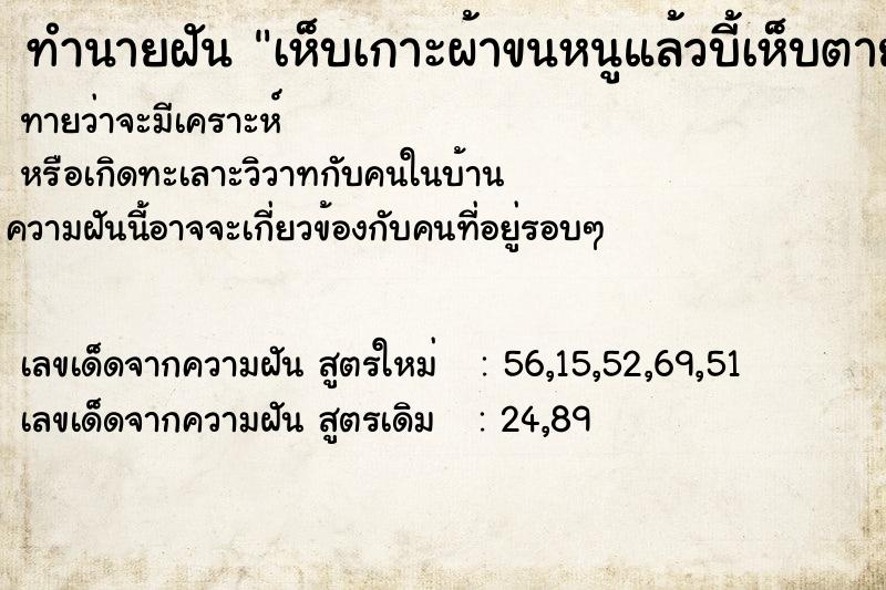 ทำนายฝันทำนายฝันเห็บเกาะผ้าขนหนูแล้วบี้เห็บตาย