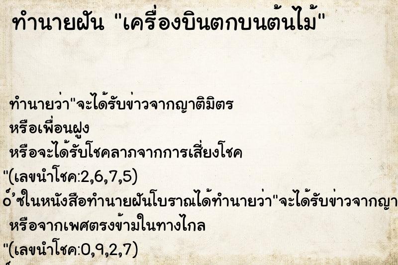 ทำนายฝัน เครื่องบินตกบนต้นไม้ ทำนายฝัน เครื่องบินตกบนต้นไม้