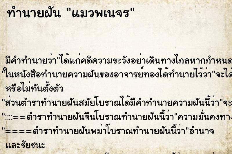 ทำนายฝันทำนายฝันแมวพเนจร