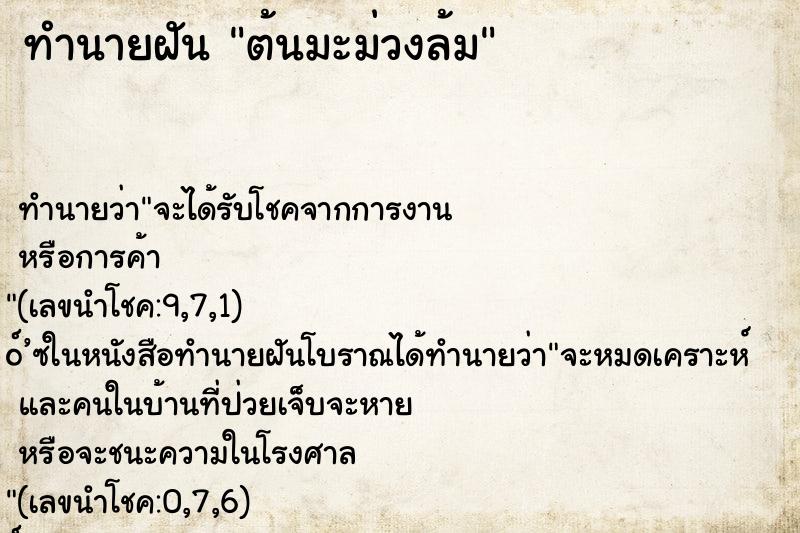 ทำนายฝัน ต้นมะม่วงล้ม