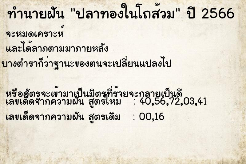 ทำนายฝันปลาทองในโถส้วม ทำนายฝันทำนายฝันปลาทองในโถส้วม