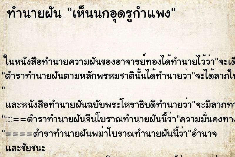 ทำนายฝันเห็นนกอุดรูกำแพง ทำนายฝันทำนายฝันเห็นนกอุดรูกำแพง