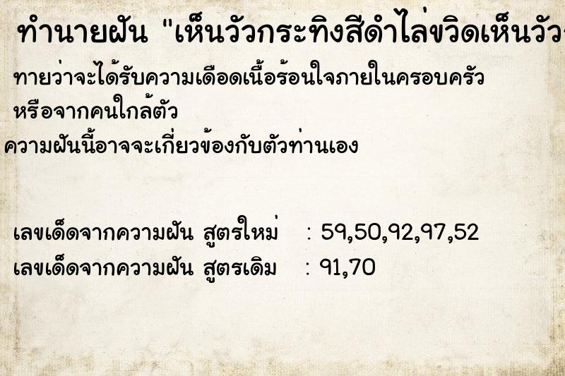 ทำนายฝัน เห็นวัวกระทิงสีดำไล่ขวิดเห็นวัวกระทิงสีดำไล่ขวิด