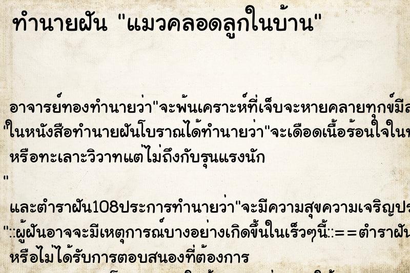 ทำนายฝัน แมวคลอดลูกในบ้าน ตำราโบราณ แม่นที่สุดในโลก